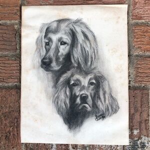 Vintage Original Charcoal Sketch Irish Setter Head Study Signed Sharron Scott 80